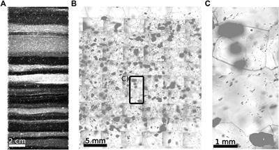 A Review of the Microstructural Location of Impurities in Polar Ice and Their Impacts on Deformation